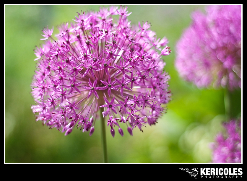 KeriColes0010