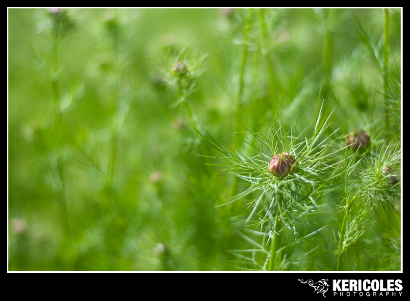 KeriColes0011