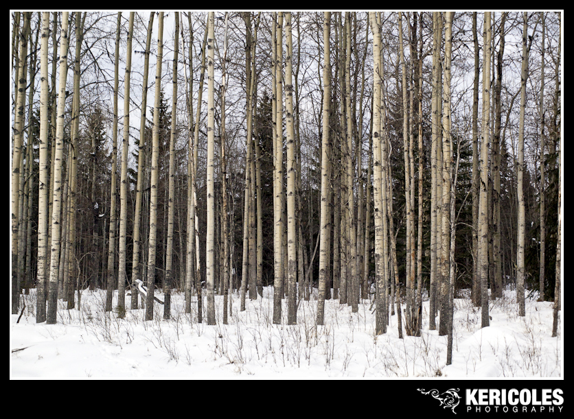 KeriColes-PrinceRupertRally0003