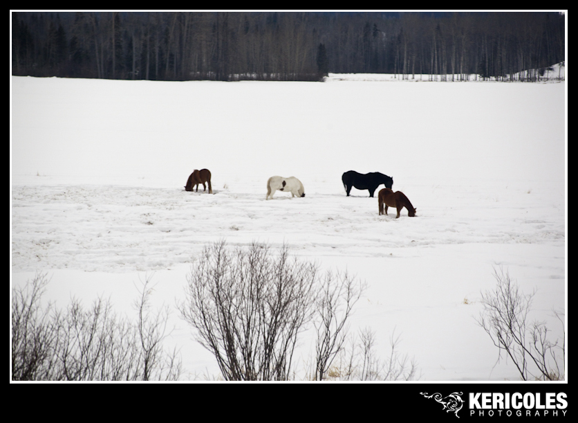 KeriColes-PrinceRupertRally0005