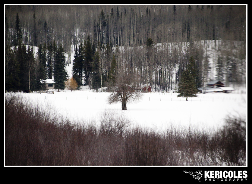 KeriColes-PrinceRupertRally0006