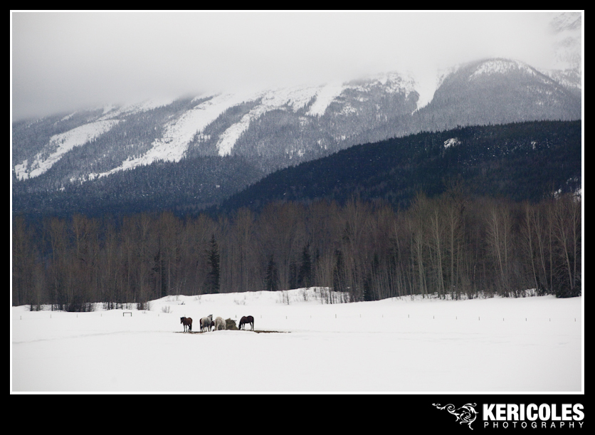 KeriColes-PrinceRupertRally0008