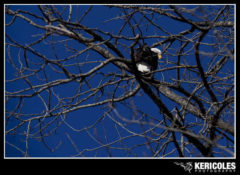 KeriColes-PrinceRupertRally0010